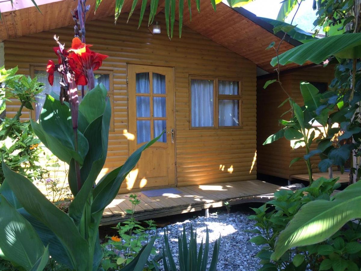 Гостевой Дом У Левы Hotel Gagra Ngoại thất bức ảnh