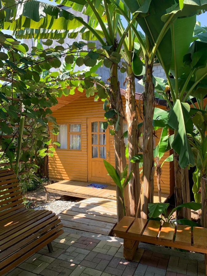 Гостевой Дом У Левы Hotel Gagra Ngoại thất bức ảnh