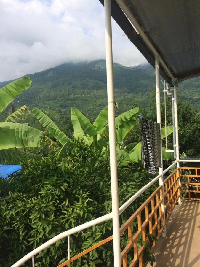 Гостевой Дом У Левы Hotel Gagra Ngoại thất bức ảnh